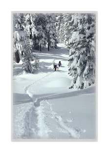 Breaking Trail